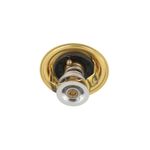 Valvula-Termostatica-Trator-Case-e-Trator-NH-98463638-CNH
