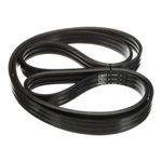 CORREIA LISA FEEDER-BORRACH - 86589482