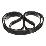 CORREIA LISA FEEDER-BORRACH - 86589482